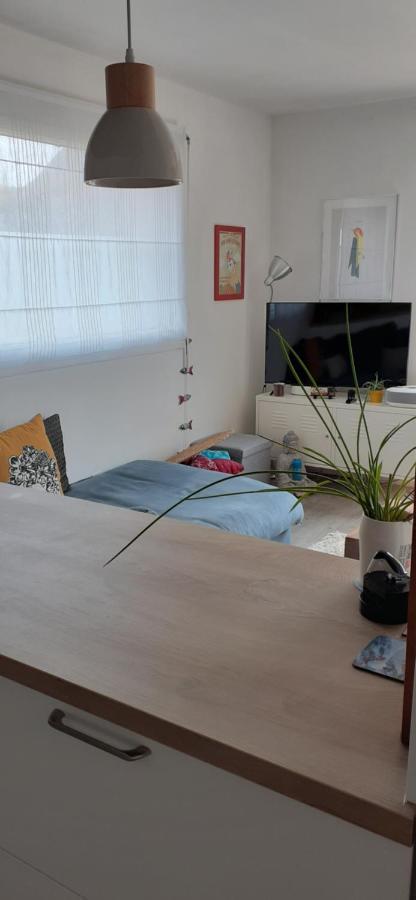 Maison Moderne Mitoyenne Exposee Plein Sud Avec Terrasse Holiday home *
